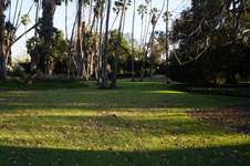 Enlarge photo 70