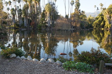 Enlarge photo 73