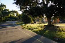 Enlarge photo 76
