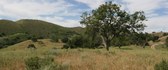 Big Sky Ranch