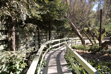 Enlarge photo 44