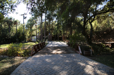 Enlarge photo 138