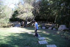 Enlarge photo 141