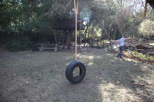 Enlarge photo 148