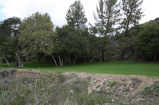 Golden Oak Ranch