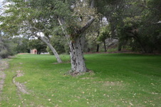 Enlarge photo 18