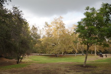 Enlarge photo 14