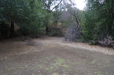 Enlarge photo 16