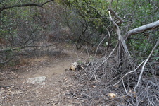 Enlarge photo 18