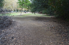 Enlarge photo 19