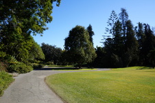 Huntington Library Gardens