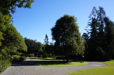 Enlarge photo 3