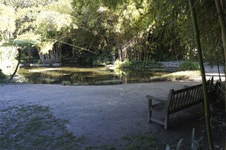 Enlarge photo 12