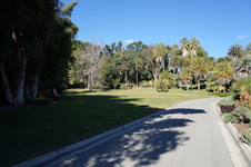Enlarge photo 18