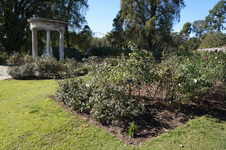 Enlarge photo 26