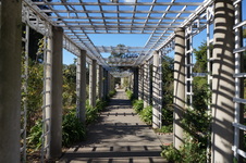 Enlarge photo 28
