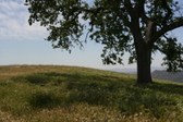 Joughin Ranch