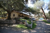 Enlarge photo 61
