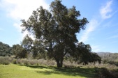 Enlarge photo 93