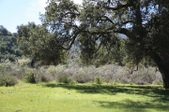 Enlarge photo 94