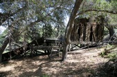 Enlarge photo 95