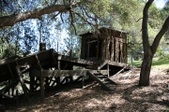 Enlarge photo 96