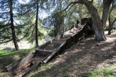 Enlarge photo 98