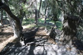 Enlarge photo 104