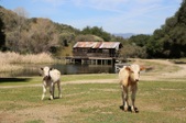 Enlarge photo 107