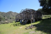 Enlarge photo 111
