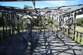 Enlarge photo 117