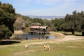 Enlarge photo 121