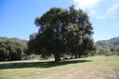 Enlarge photo 122