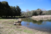 Enlarge photo 123