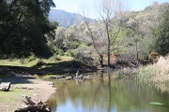Enlarge photo 124