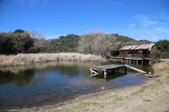 Enlarge photo 125