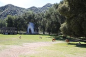 Enlarge photo 127