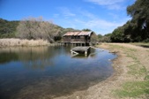 Enlarge photo 128