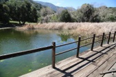 Enlarge photo 133