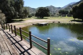 Enlarge photo 134
