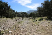 Enlarge photo 135