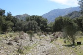 Enlarge photo 136