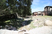 Enlarge photo 137