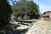 Enlarge photo 138