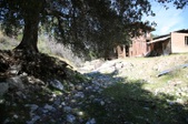 Enlarge photo 147