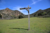 Enlarge photo 235