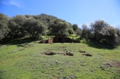 Enlarge photo 237