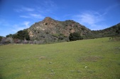 Enlarge photo 241