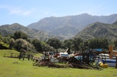 Enlarge photo 243
