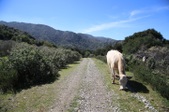 Enlarge photo 244
